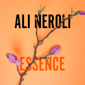 亚洲男同帅Gay大鸡巴
